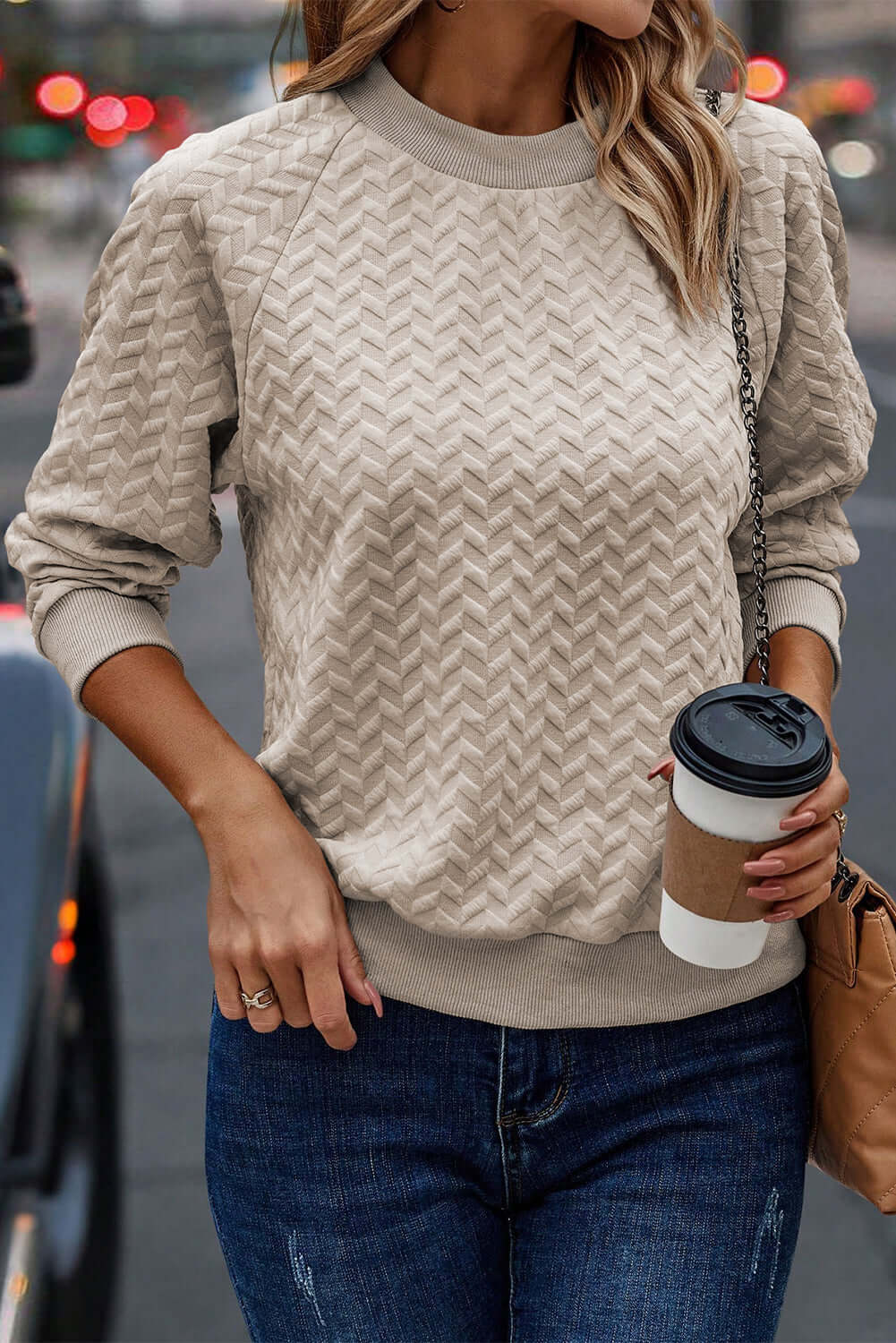Beige Solid Textured Raglan Sleeve Pullover Sweatshirt - Dixie Hike & Style