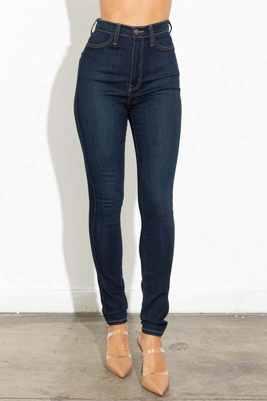 High Waisted Classic Skinny - Dixie Hike & Style