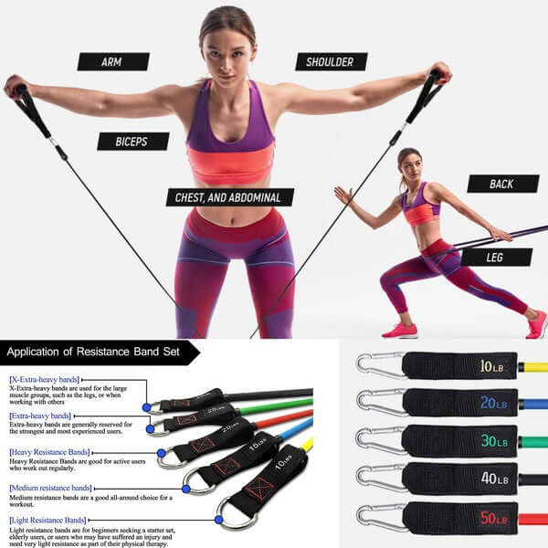 13-Pcs Intey Resistance Band Home Workout Set - Dixie Hike & Style