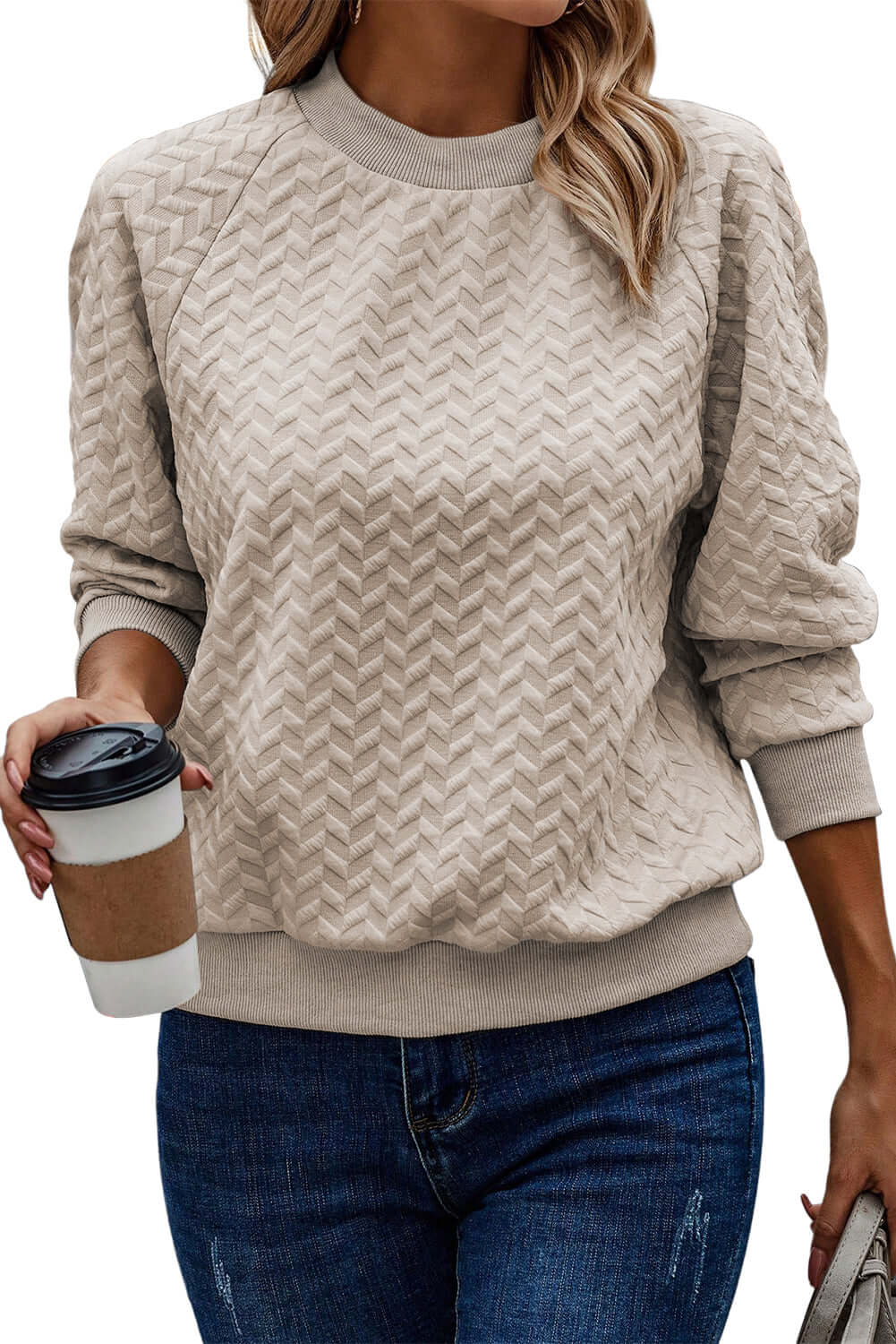 Beige Solid Textured Raglan Sleeve Pullover Sweatshirt - Dixie Hike & Style