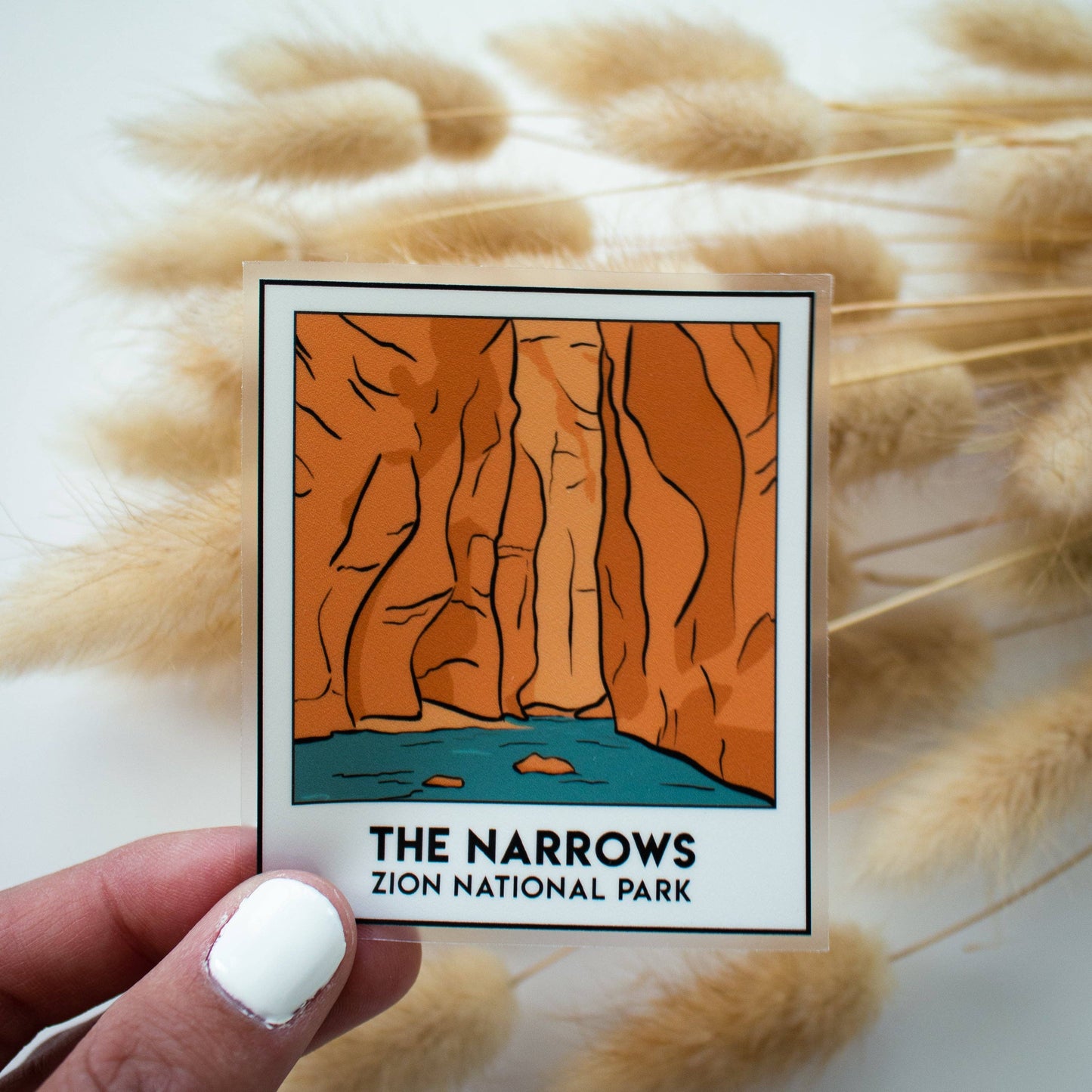 The Narrows Snapshot | Zion National Park Clear Sticker - Dixie Hike & Style
