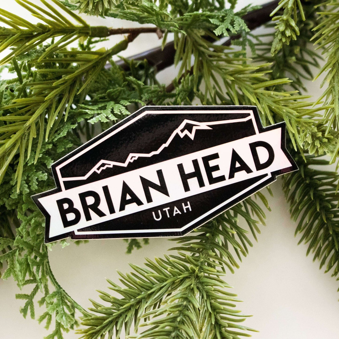 Brian Head Utah Holographic Sticker - Dixie Hike & Style